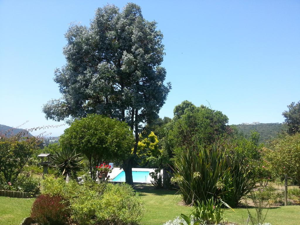 Piesang Valley Lodge Plettenberg Bay Szoba fotó